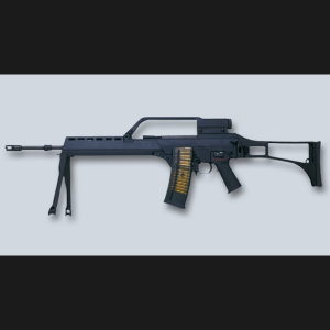 G36